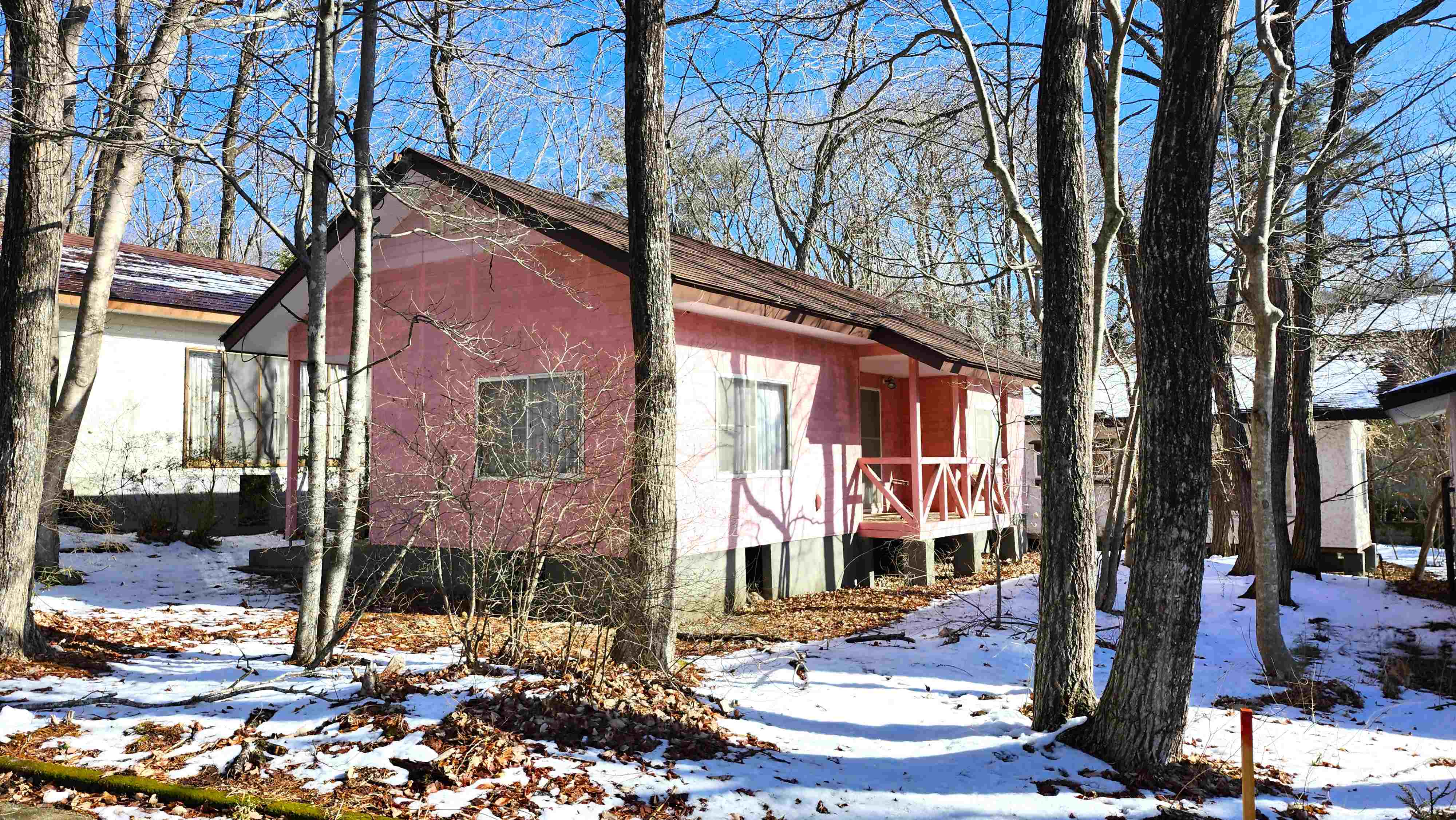 桃色外壁が可愛らしい平屋建物2LDK、平坦地100坪、立木も多く夏の暑さ対策に、木陰も十分です。
