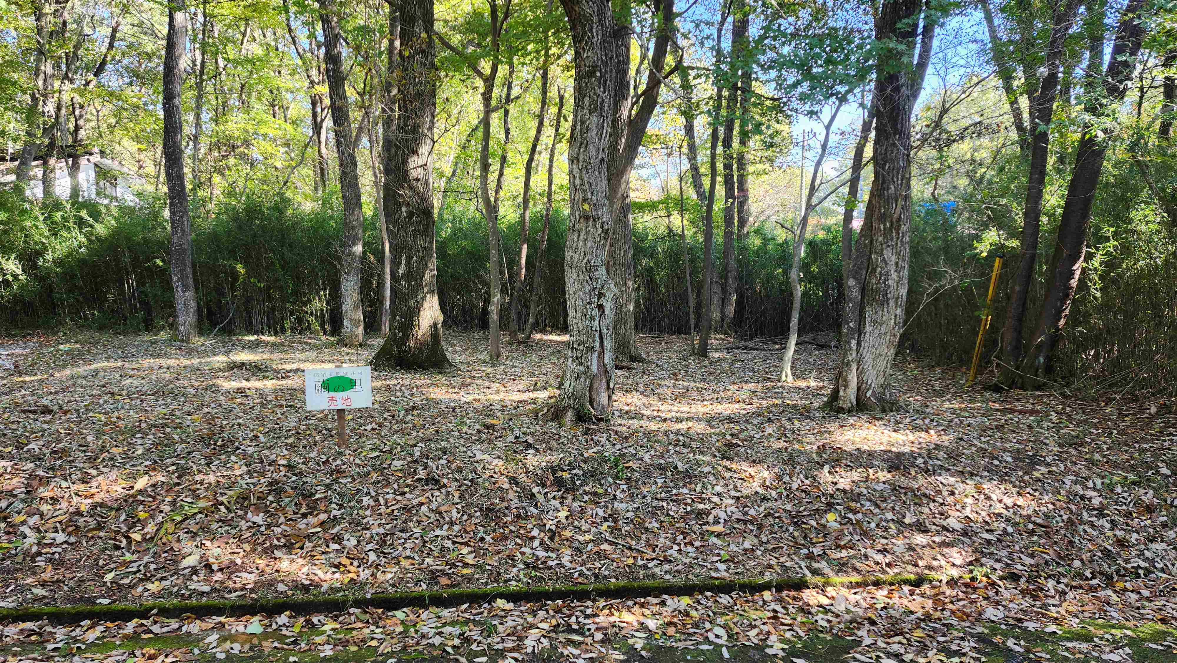 小川が近くを流れる平坦地、清涼な環境です。ミニログ建築等いかがでしょう。